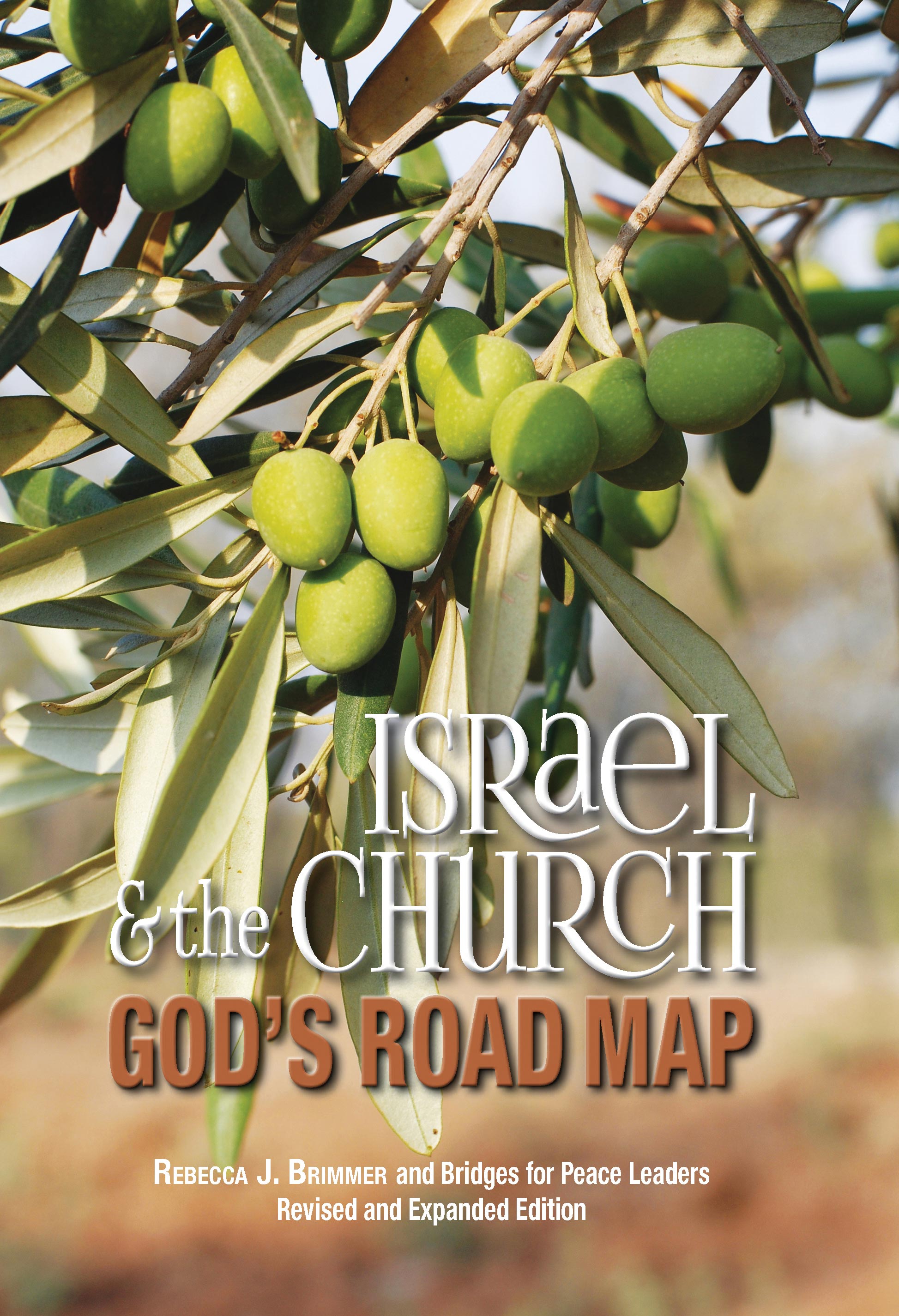 3. Israel & The Church: God's Road Map
